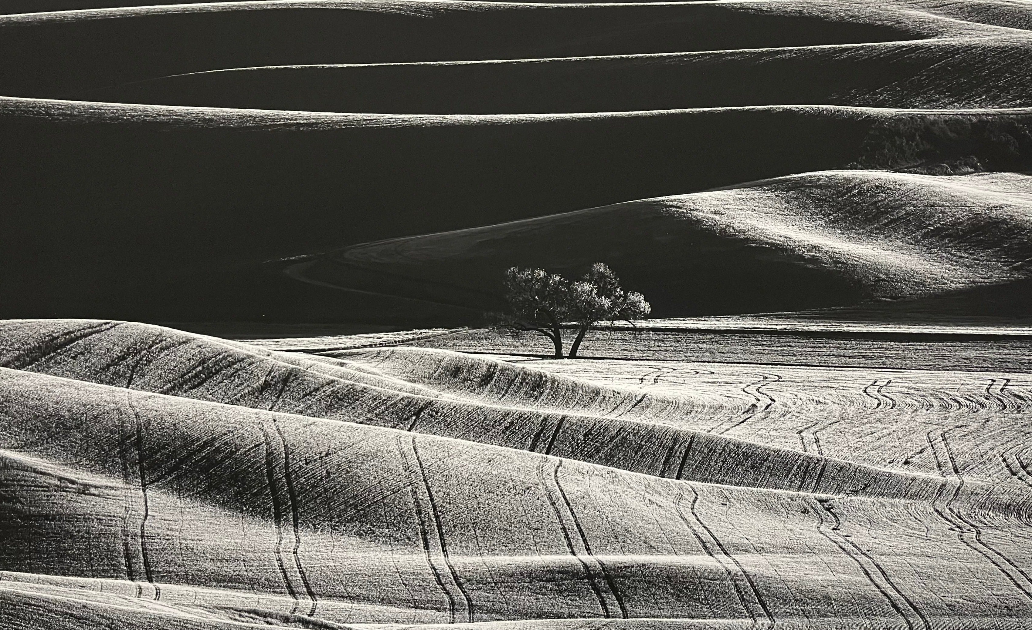 Palouse 2