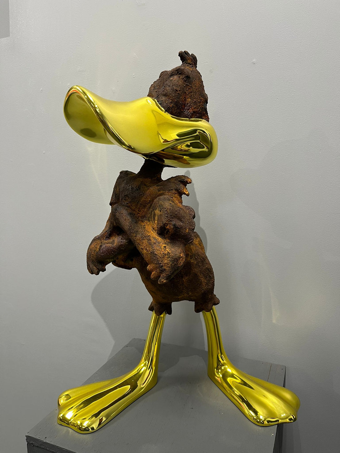 Duck