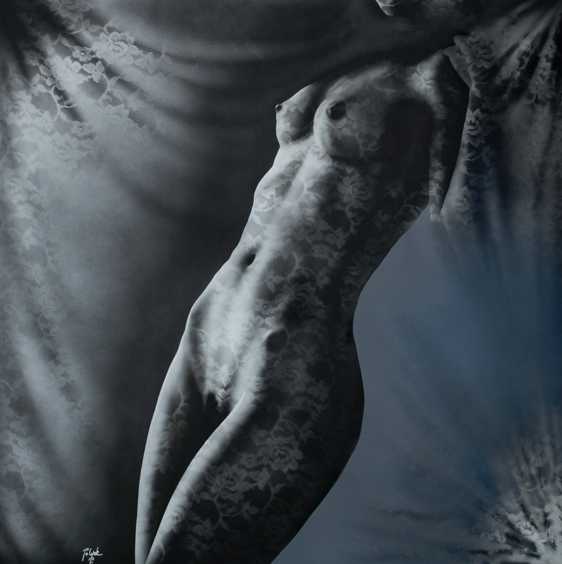 Lost in Silk