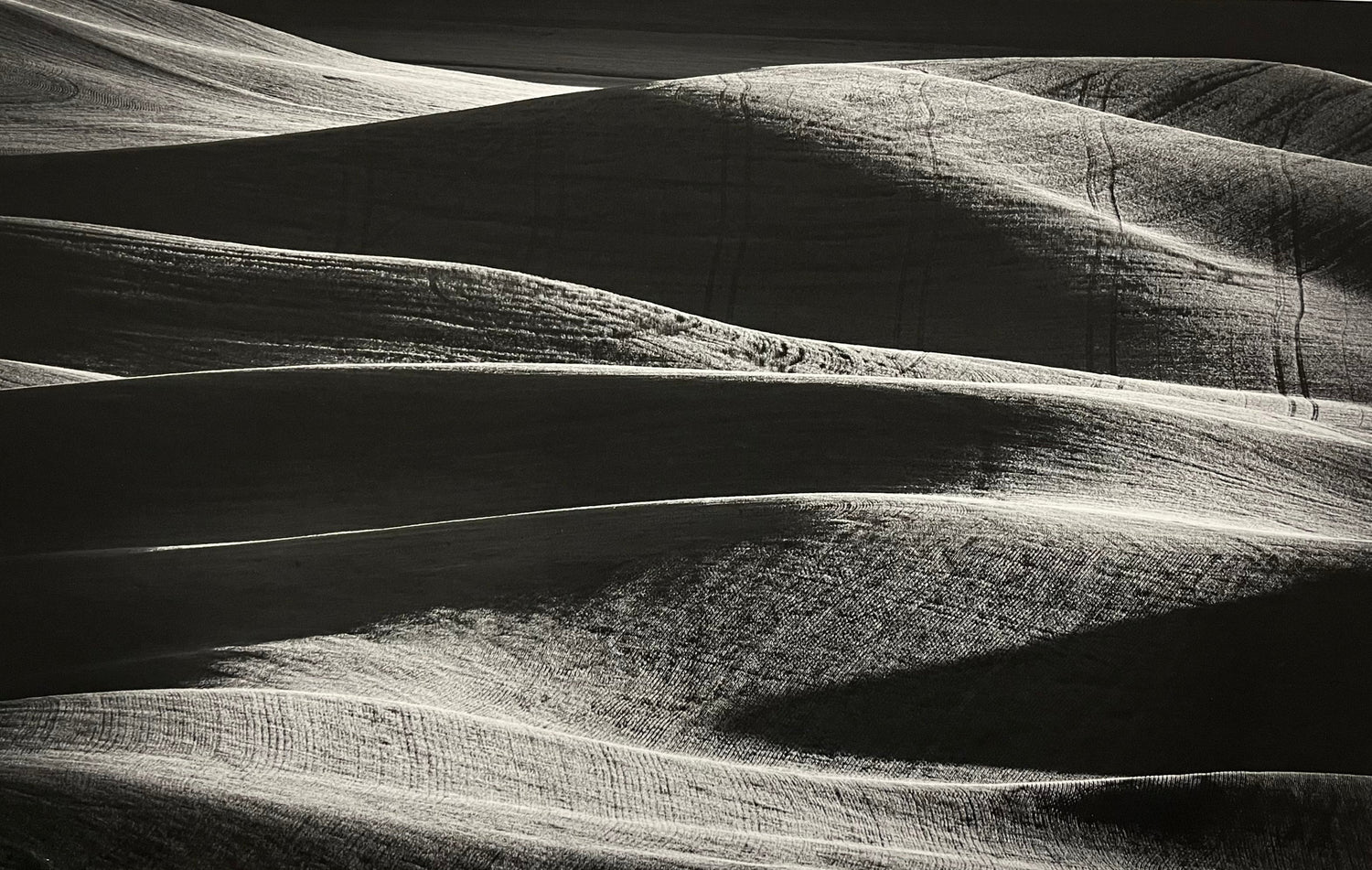 Palouse 3